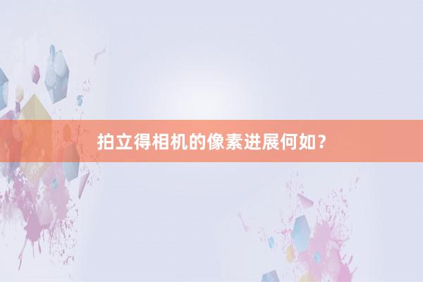 拍立得相机的像素进展何如？