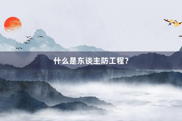 什么是东谈主防工程？