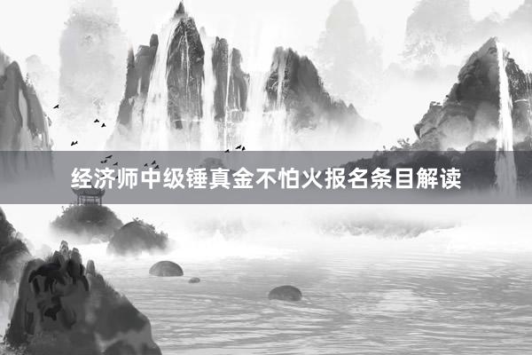 经济师中级锤真金不怕火报名条目解读