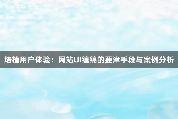 培植用户体验：网站UI缠绵的要津手段与案例分析